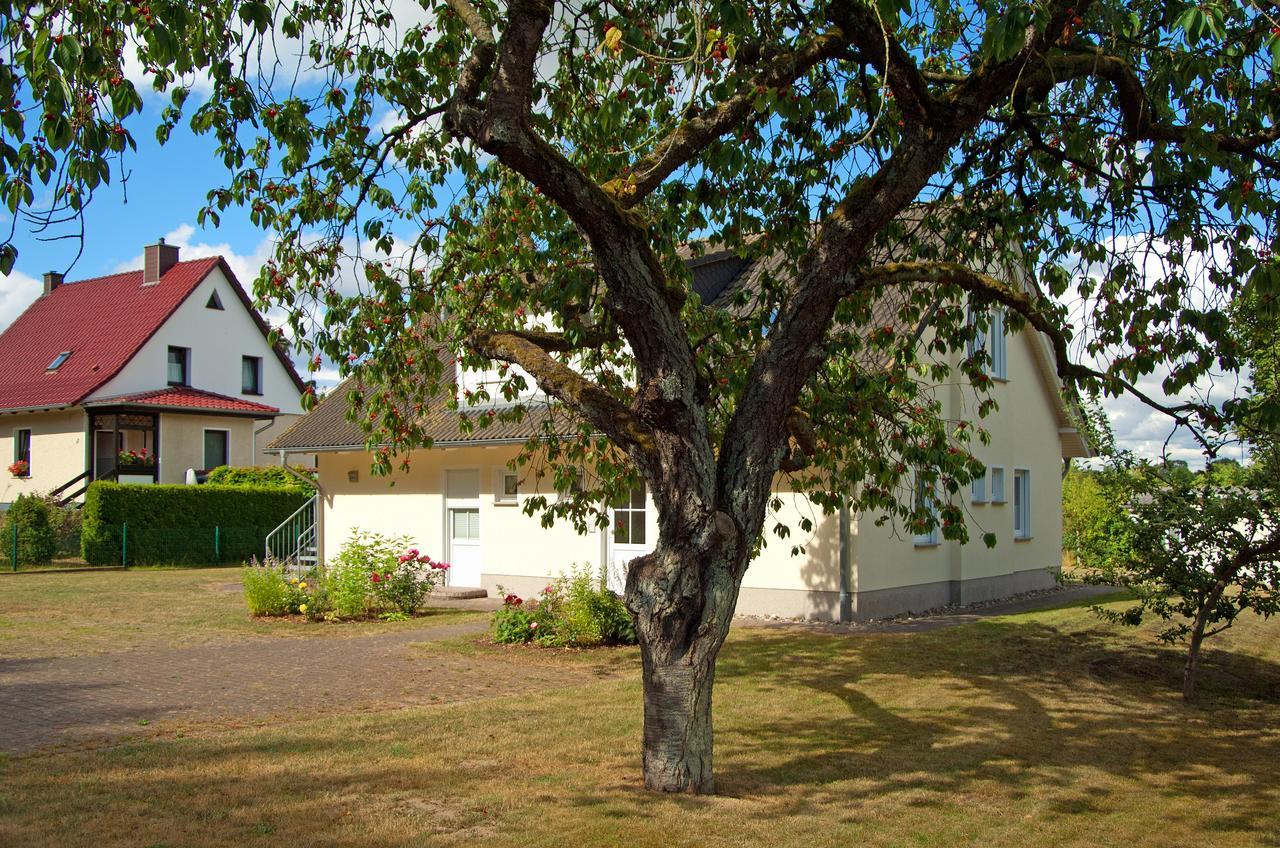 Apartamento Sonnenhus - Rügen Sellin  Exterior foto